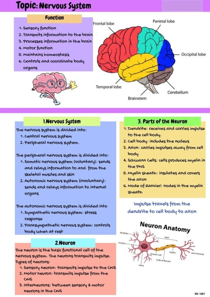 Anatomy & Physiology Case Study Workbook