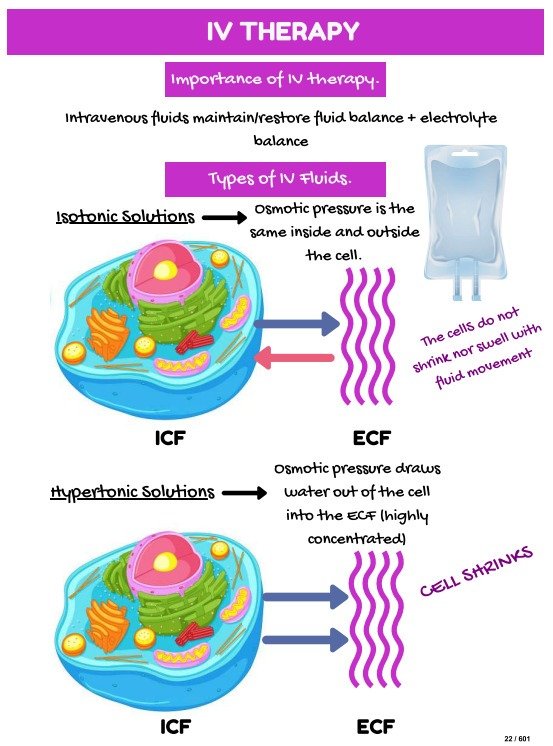 Isotonic Fluids